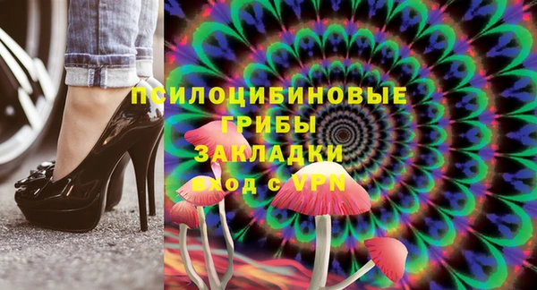 PSILOCYBIN Абдулино