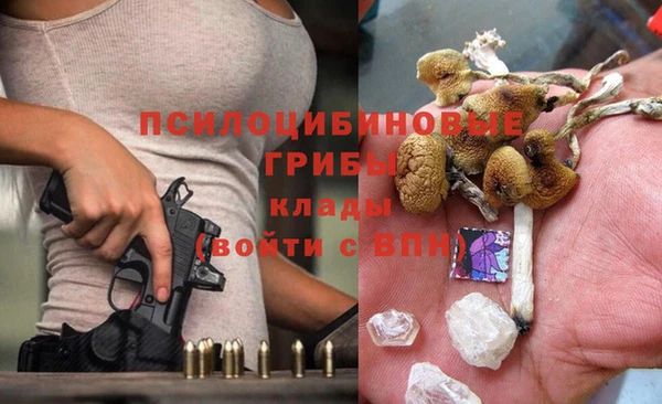 PSILOCYBIN Абдулино