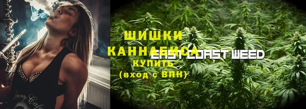 PSILOCYBIN Абдулино
