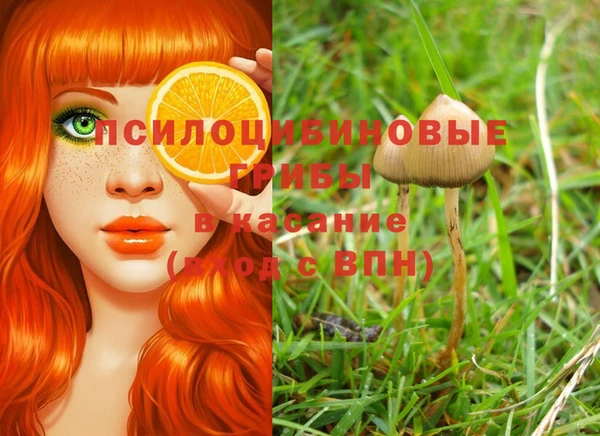 бошки Абинск