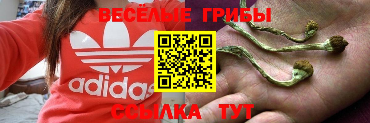 Псилоцибиновые грибы GOLDEN TEACHER Хасавюрт