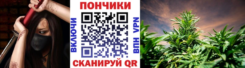 ОМГ ОМГ ONION наркошоп Хасавюрт Бошки марихуана сатива