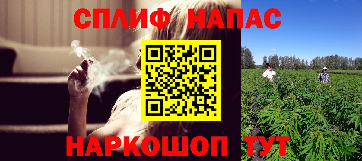 Марихуана конопля Хасавюрт