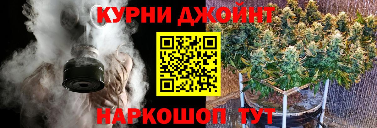 Бошки марихуана марихуана  Вход с VPN  Хасавюрт  Канабис конопля 
